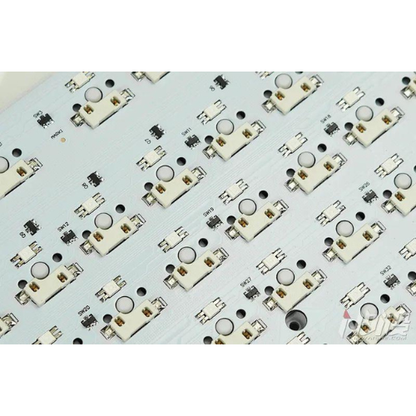 Langyan CR89 Blue Switch RGB Mechanical Keyboard | Hot-Swappable | TKL 89-Key Layout | CSA PBT Keycaps.