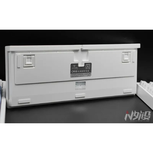 Langyan CR89 Blue Switch RGB Mechanical Keyboard | Hot-Swappable | TKL 89-Key Layout | CSA PBT Keycaps.