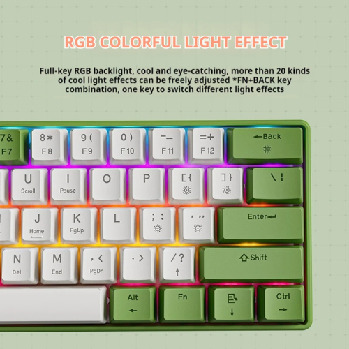 EWEADN G61 60% Wireless Mechanical Keyboard Blue Switch – 3 Mode RGB Backlit, Compact Gaming Keyboard for PC, Laptop, Tablet & Phone